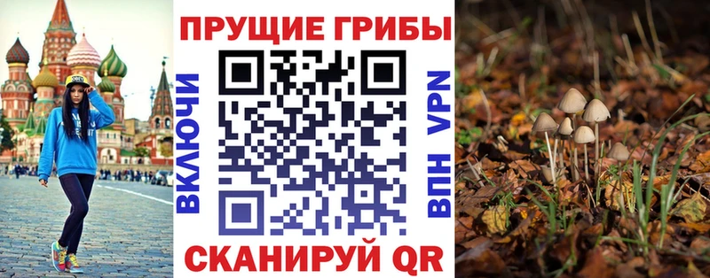 где продают наркотики  сайты даркнета состав  Галлюциногенные грибы MAGIC MUSHROOMS  Сольцы 
